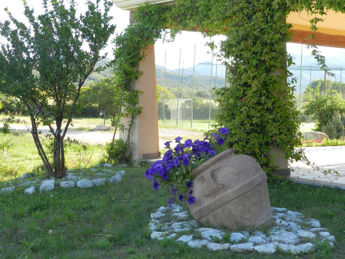 Hotel Minnia Budoni Buitenkant foto